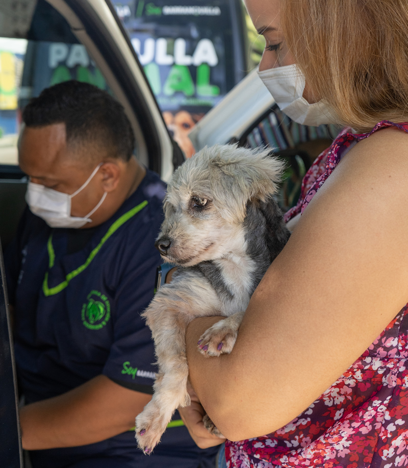 Un perro pequeño en brazos de un integrante de la Patrulla Animal